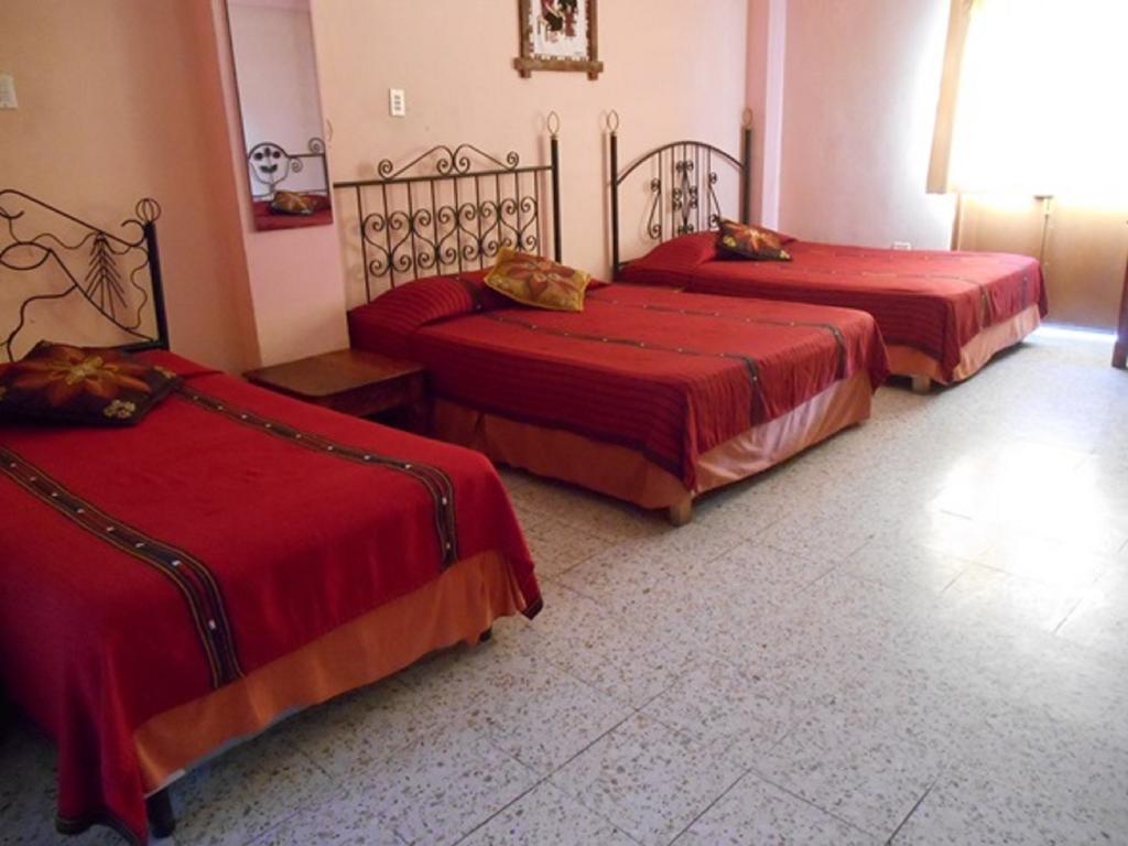 Hotel El Chaparral パナハチェル 部屋 写真